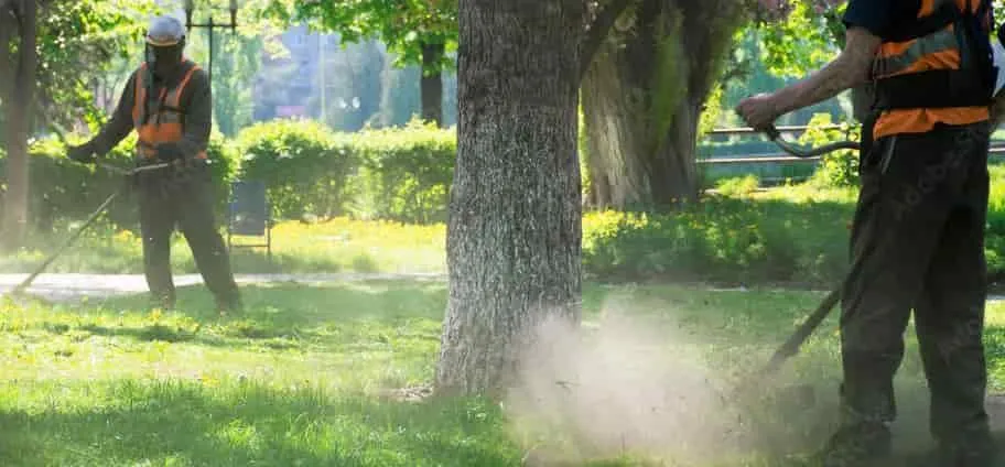 Yard Maintenance Landscaping Services
