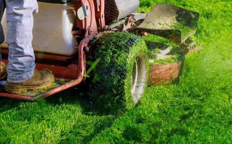 Lawn Mowing Landscaping Services