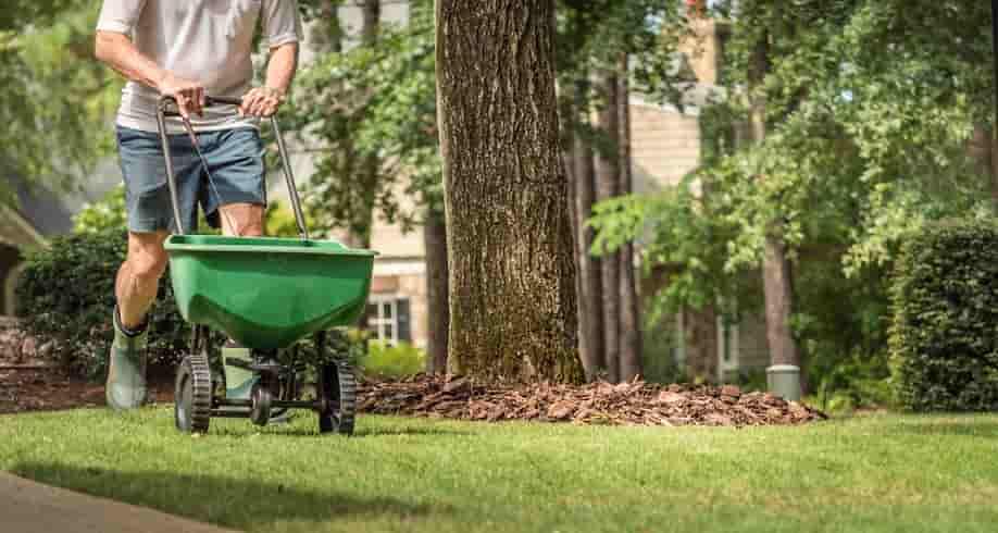 Lawn Care Landscaping Services