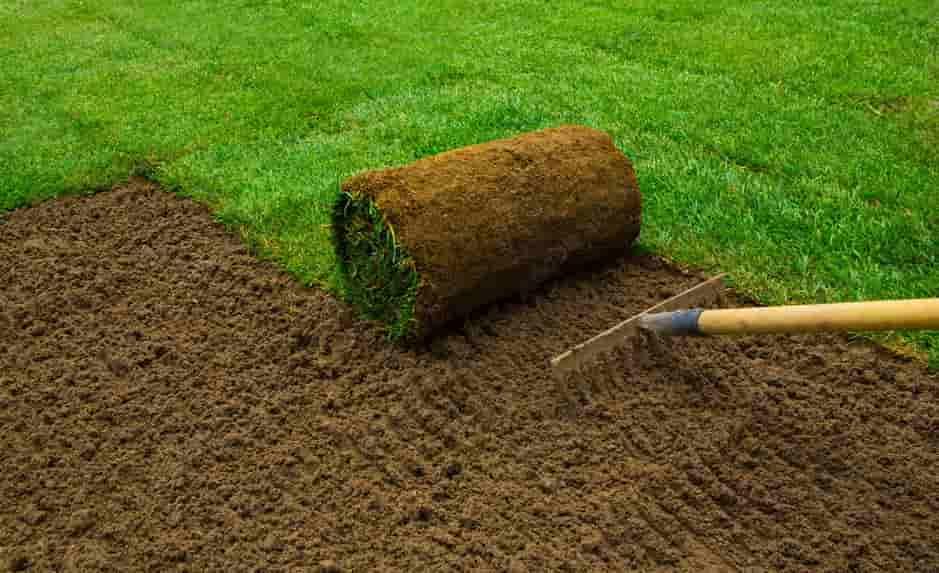 Sod Installation Landscaping Services