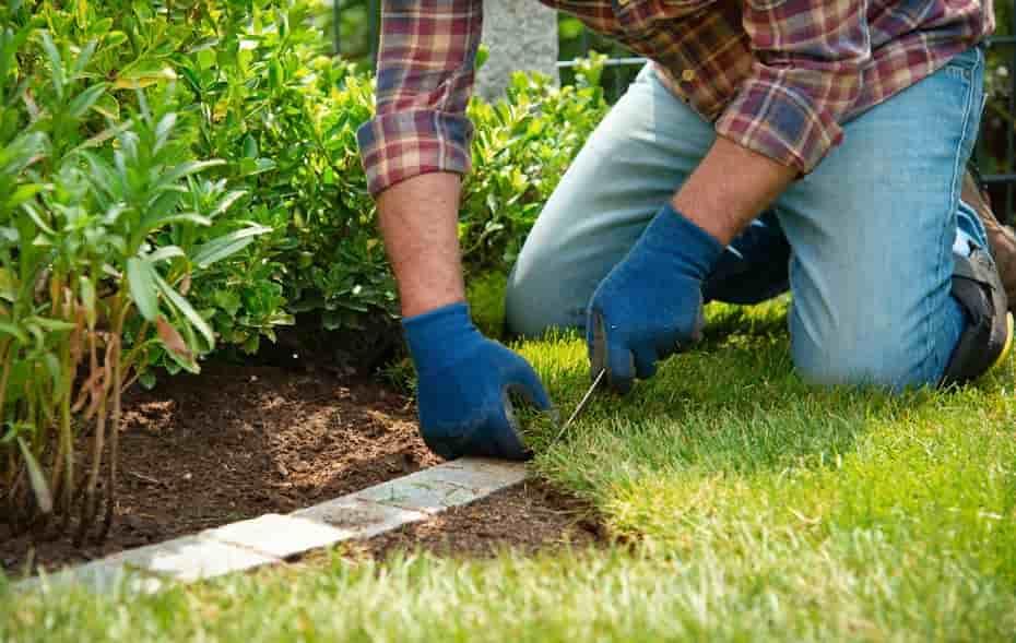 Sod Installation Landscaping Services