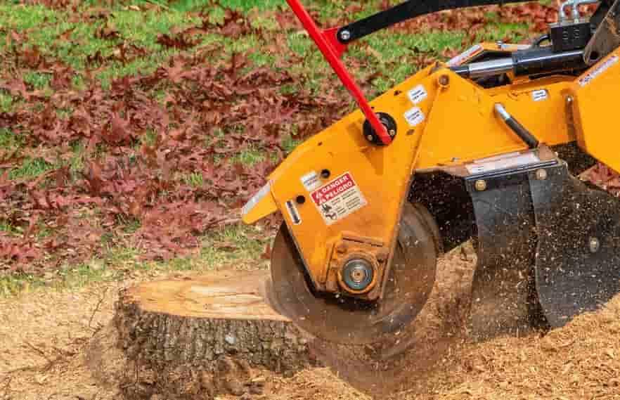 Stump Grinding Tree Services