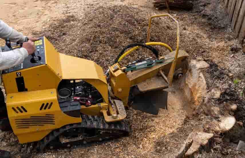 Stump Grinding Tree Services