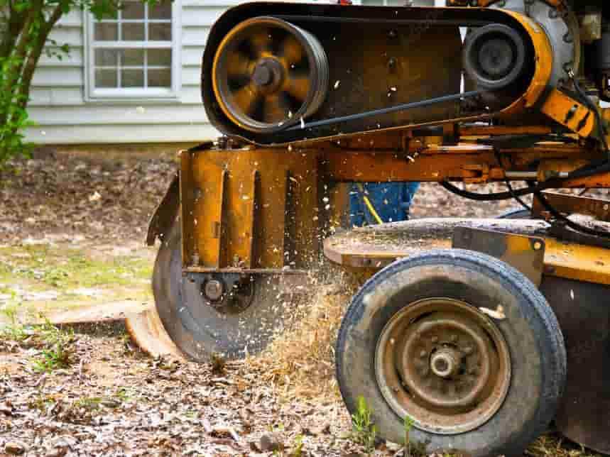 Stump Grinding Tree Services