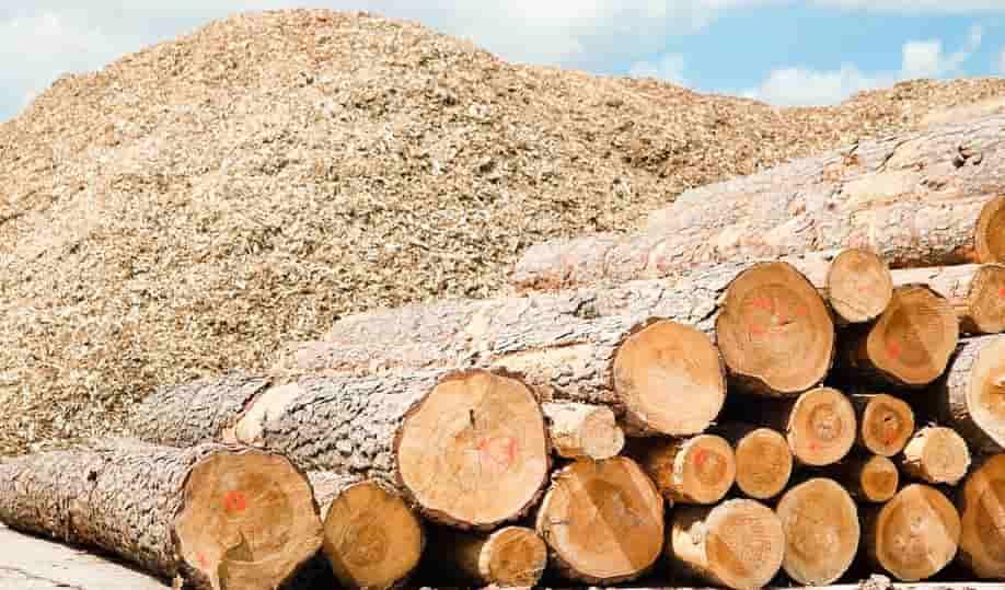 Brush Chipping Tree Services
