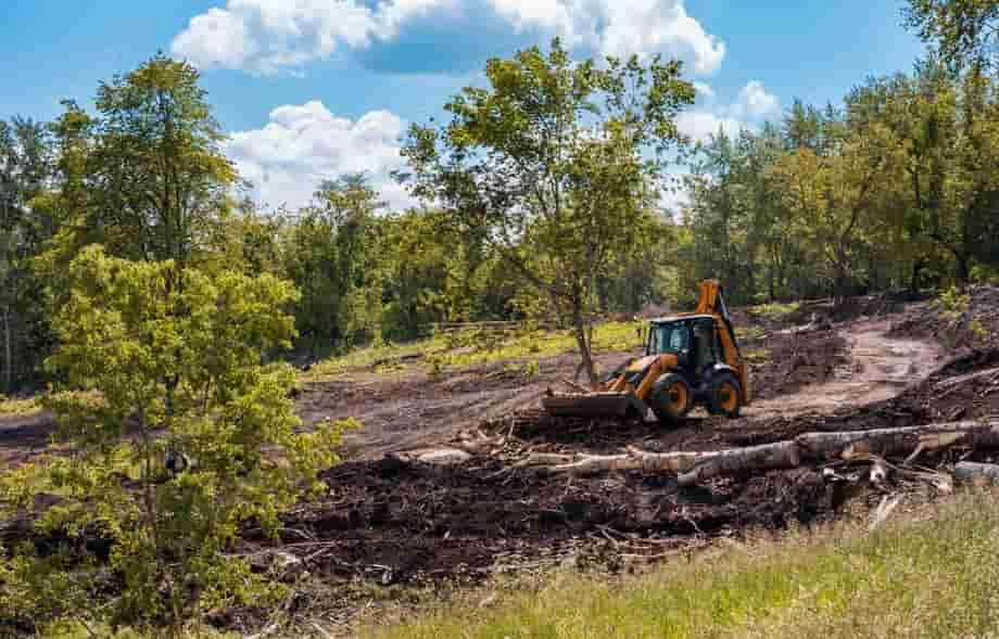 Land Clearing Tree Services