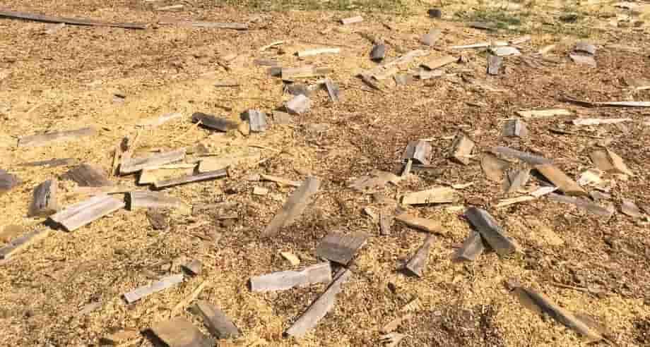 Brush Chipping Tree Services