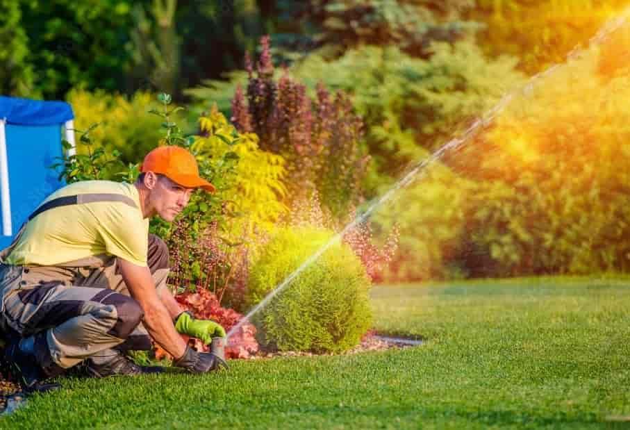 Maintenance Lawn Care Services
