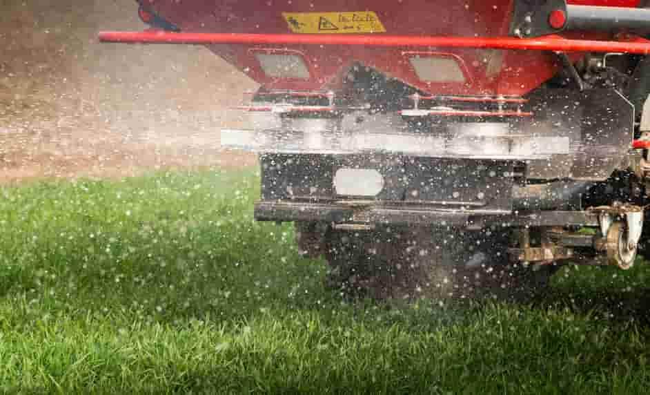 Fertilization Lawn Care Services