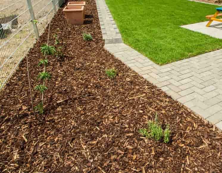 Mulching Lawn Care Services