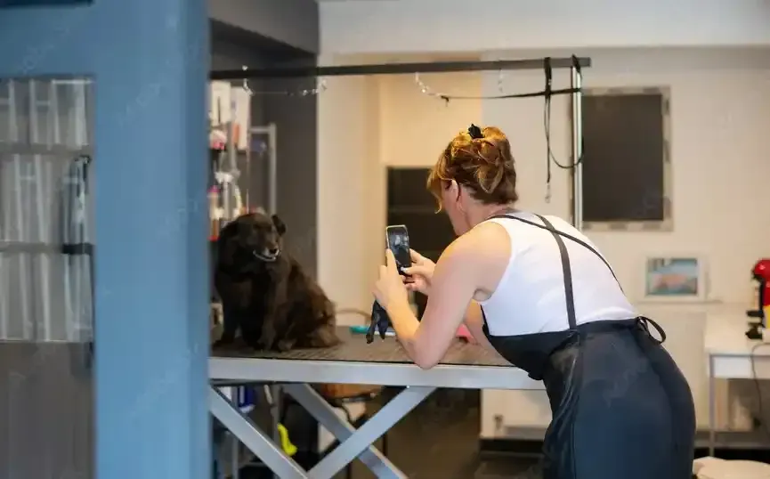 Mobile Dog Pet Grooming Services