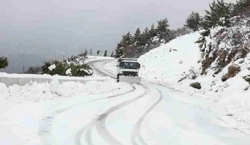 Snow Plowing Services