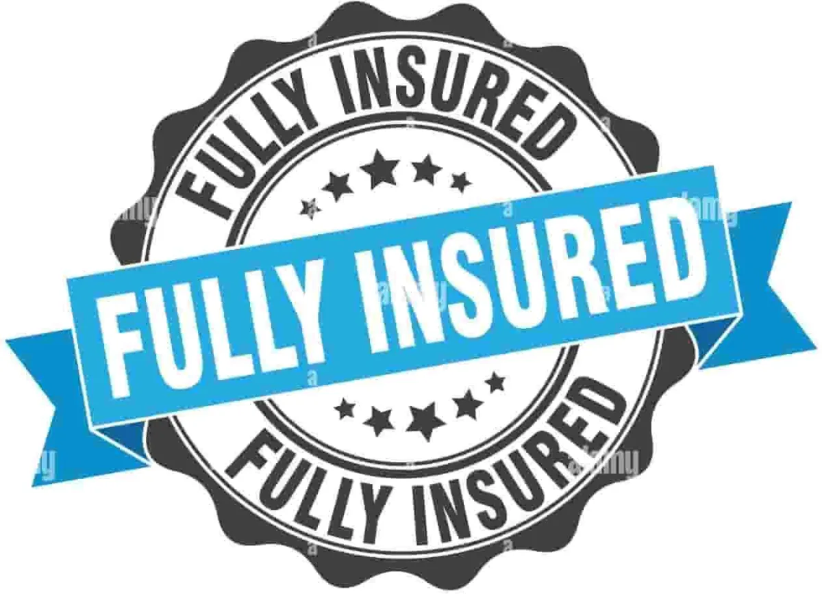 Snow Removal Services