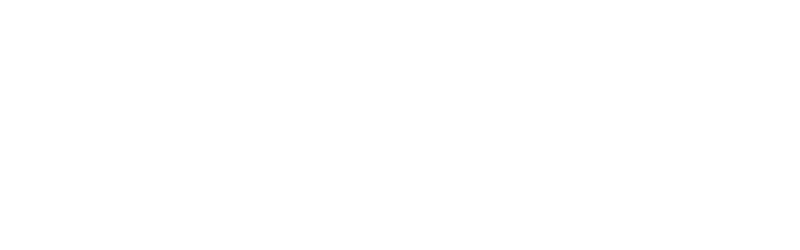 Government Auction Logo