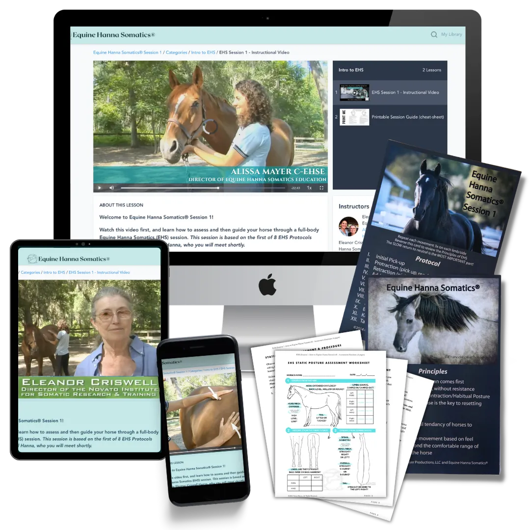 equine hanna somatics