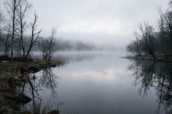 How to clear your mind and stop overthinking, misty lake at dawn with bare trees reflected in still water