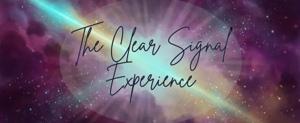 Image of logo of Soul Intelligence program
