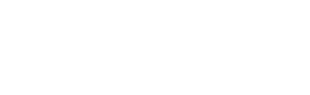 Paddle CRM Logo