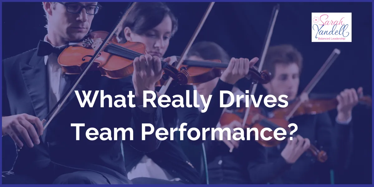 What Really Drives Team Performance