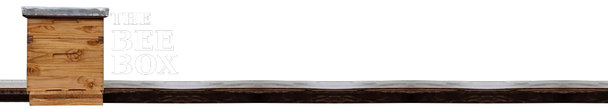 Buckle Buddy Seatbelt Dummy Silencer