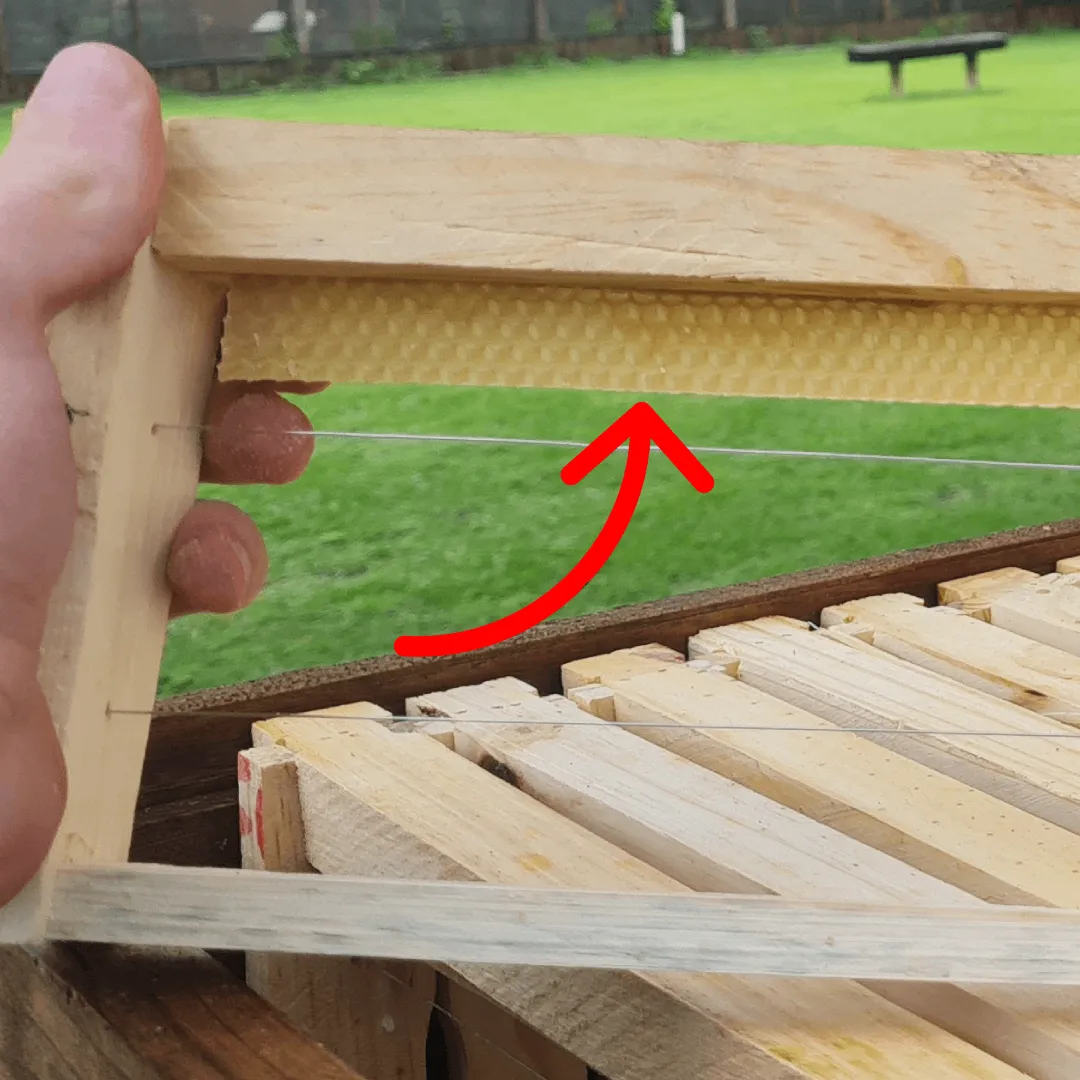 Catch your first swarm of bees