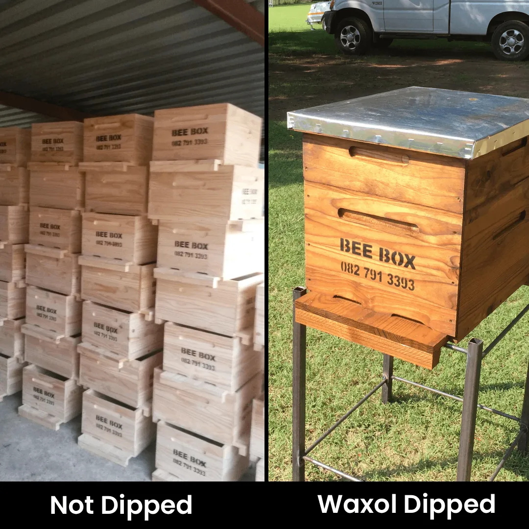 Catch your first swarm of bees