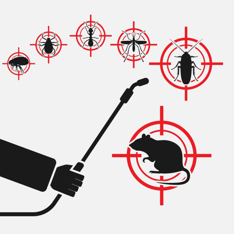 Fluffy white clouds against a deep blue sky