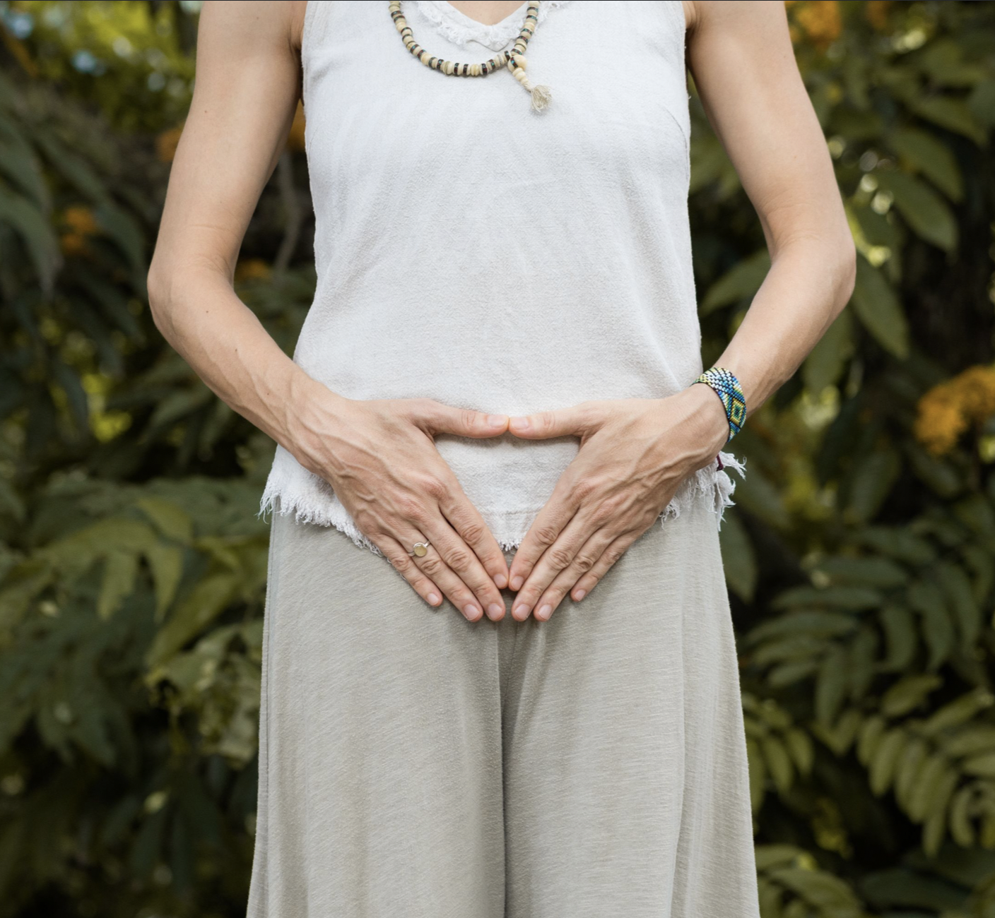 pregnancy program