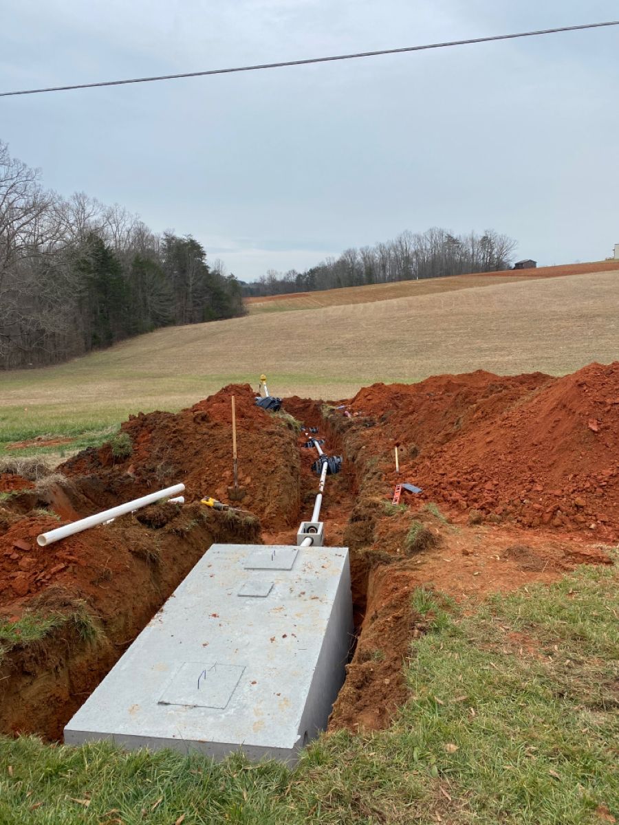 Tree and stump removal project on rural property in Craven County NC
