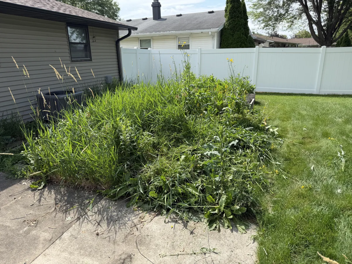 Spring cleanup in Green Bay WI