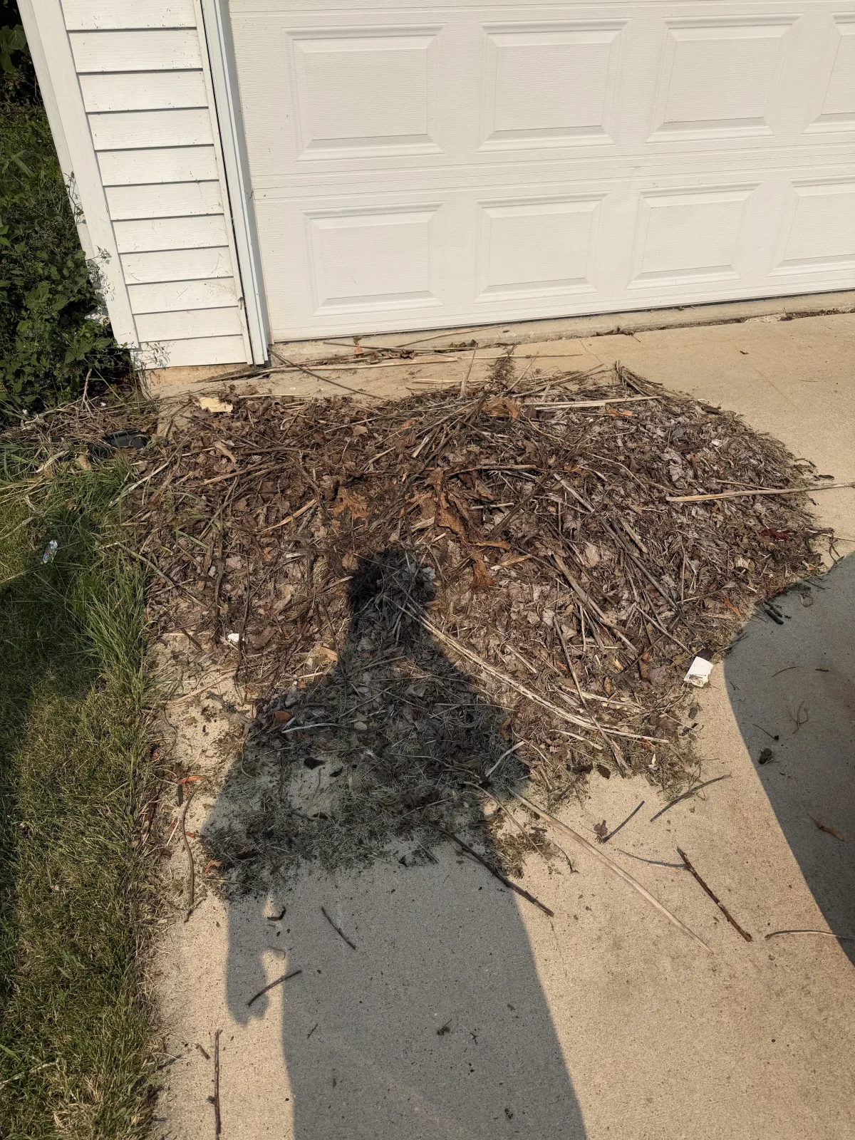 Fall cleanup & leaf removal in Green Bay WI