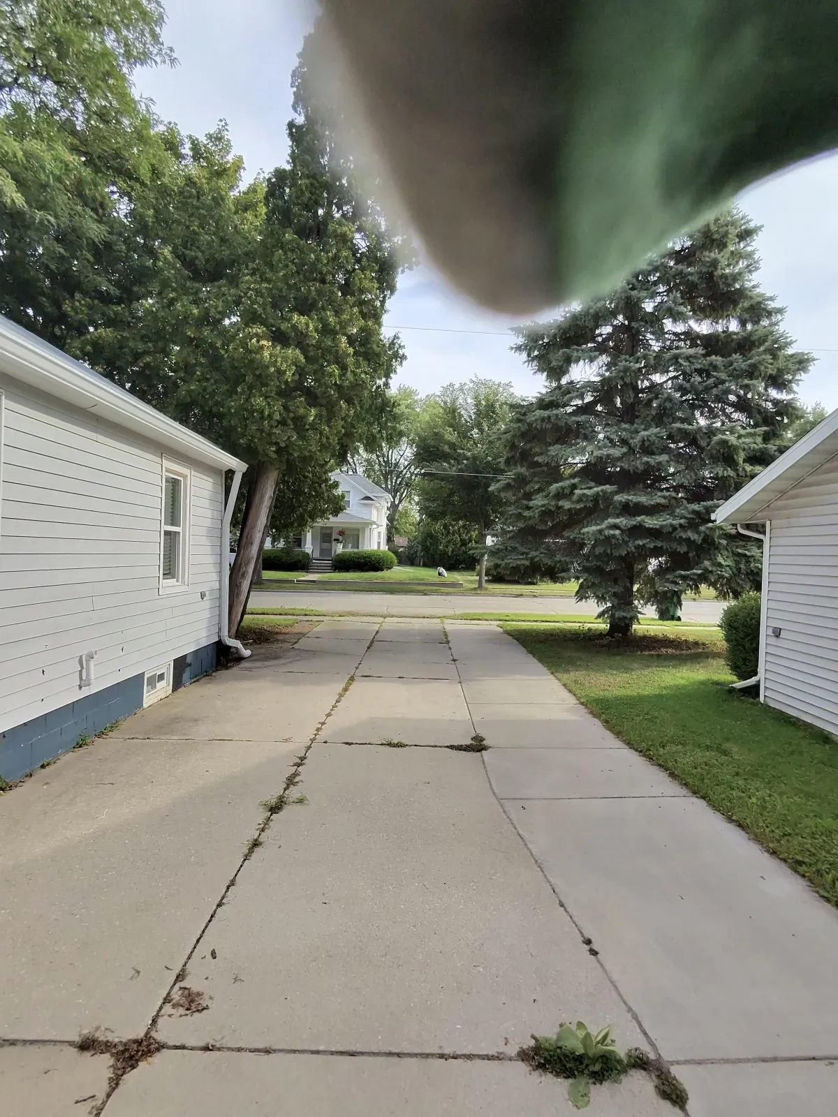 Hedge & shrub trimming Green Bay WI