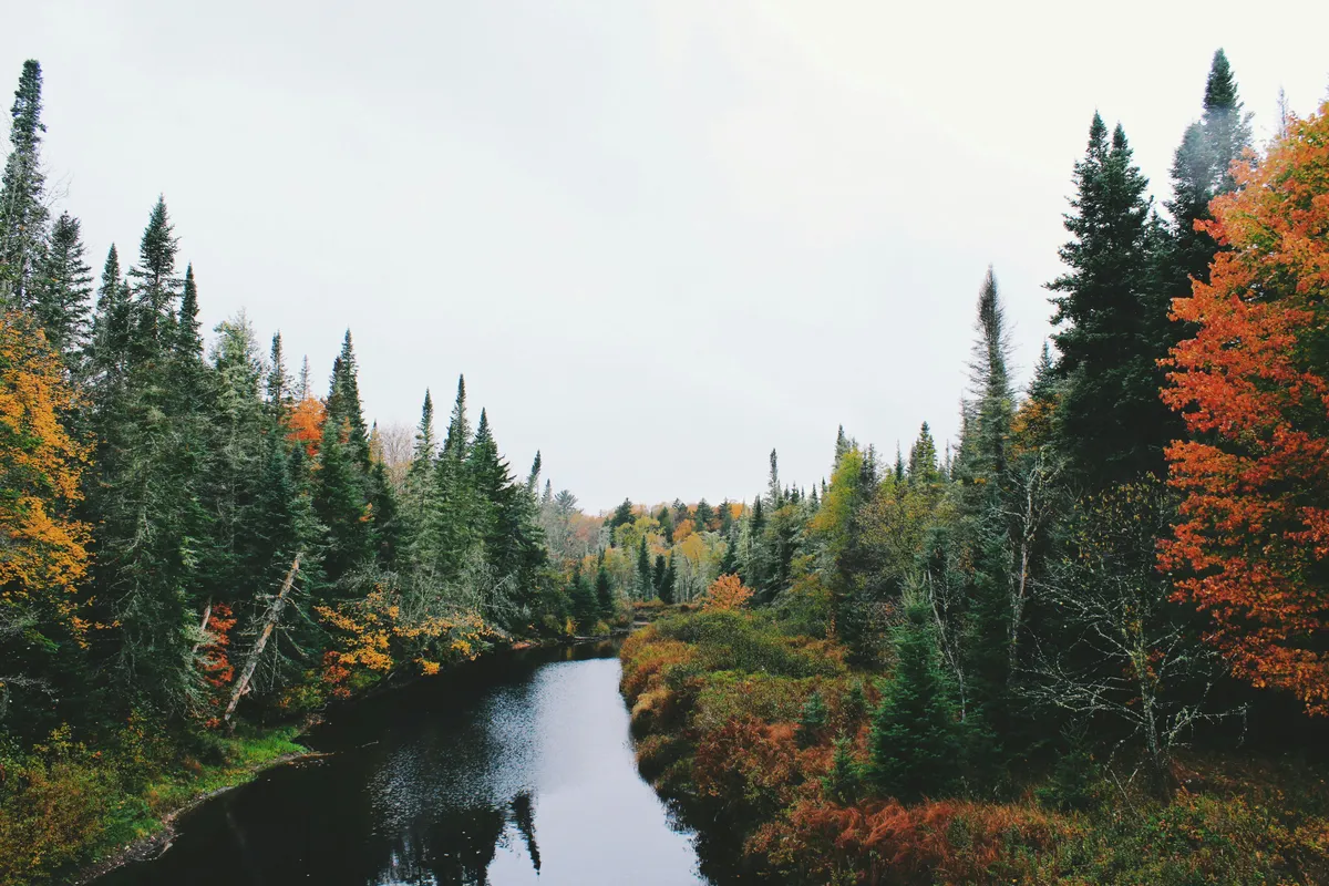 Green Bay WI Fall cleanup & leaf removal