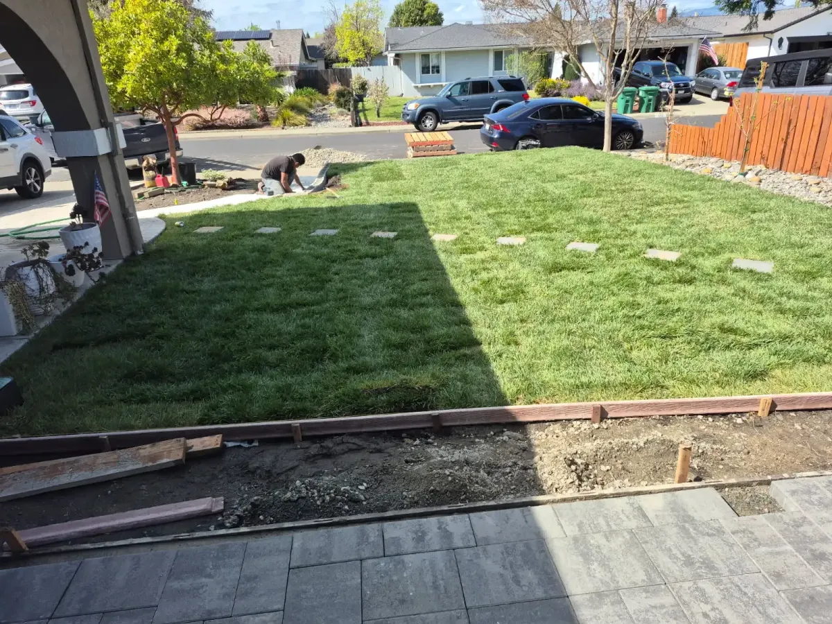 {{ custom_values.service_1 }} in {{custom_values.biz_area_1})