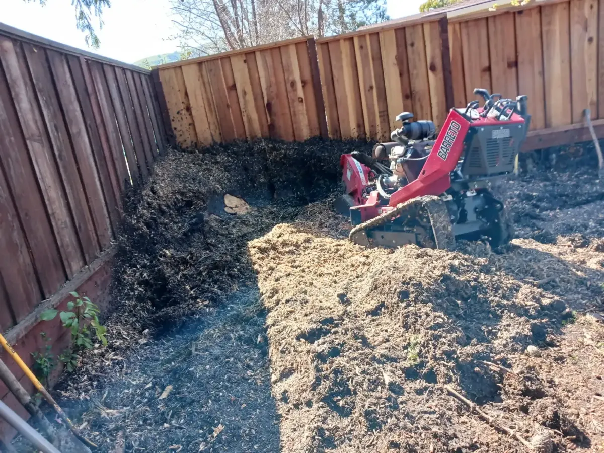 Maintenance & Cleanup in Concord