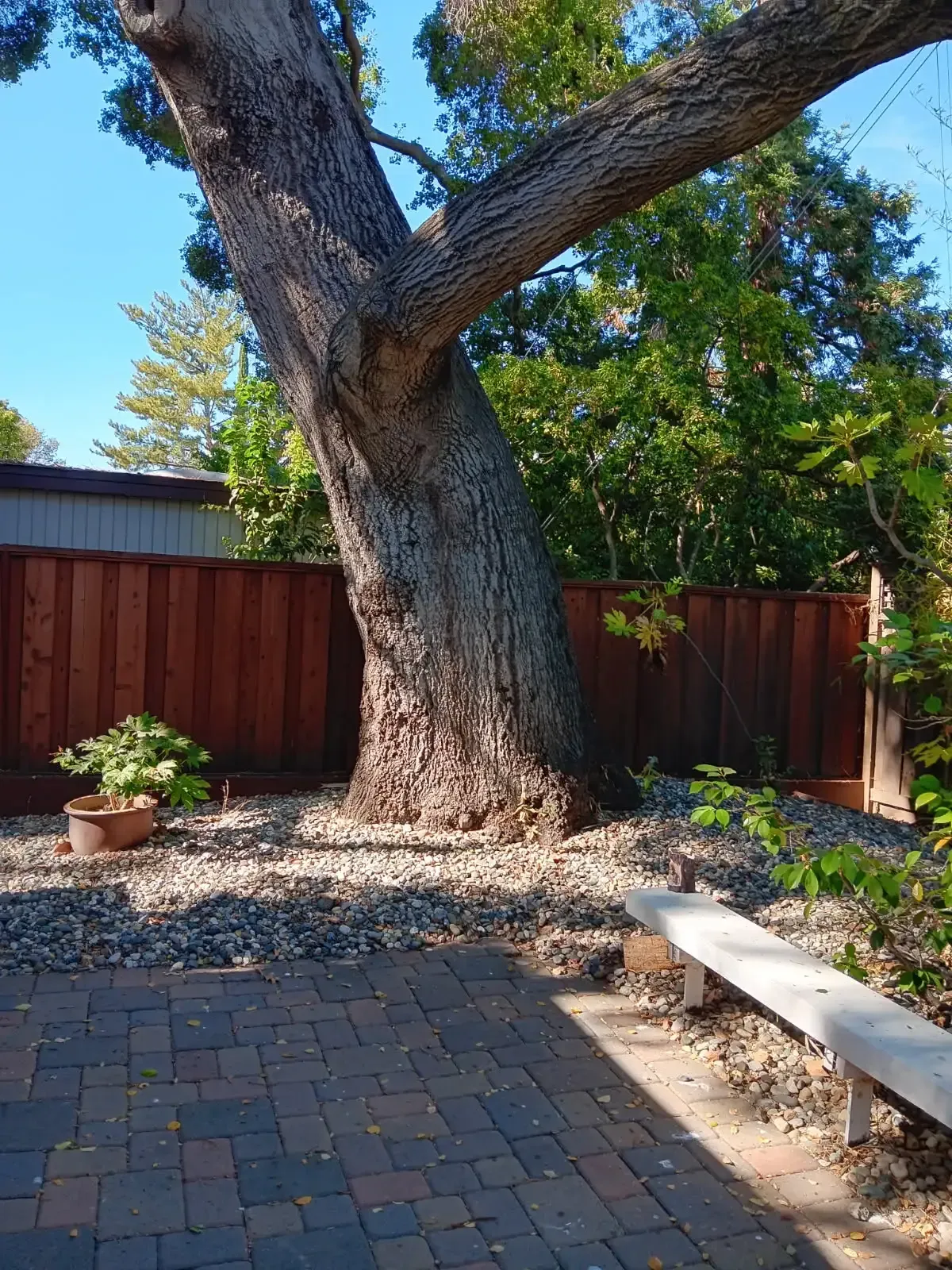 Irrigation Systems Concord