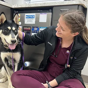 VetterCare Vet Tech providing in-home care
