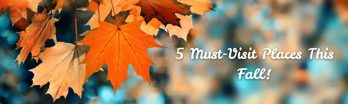 5 Must-Visit Military Heritage Sites This Fall Season in San Diego