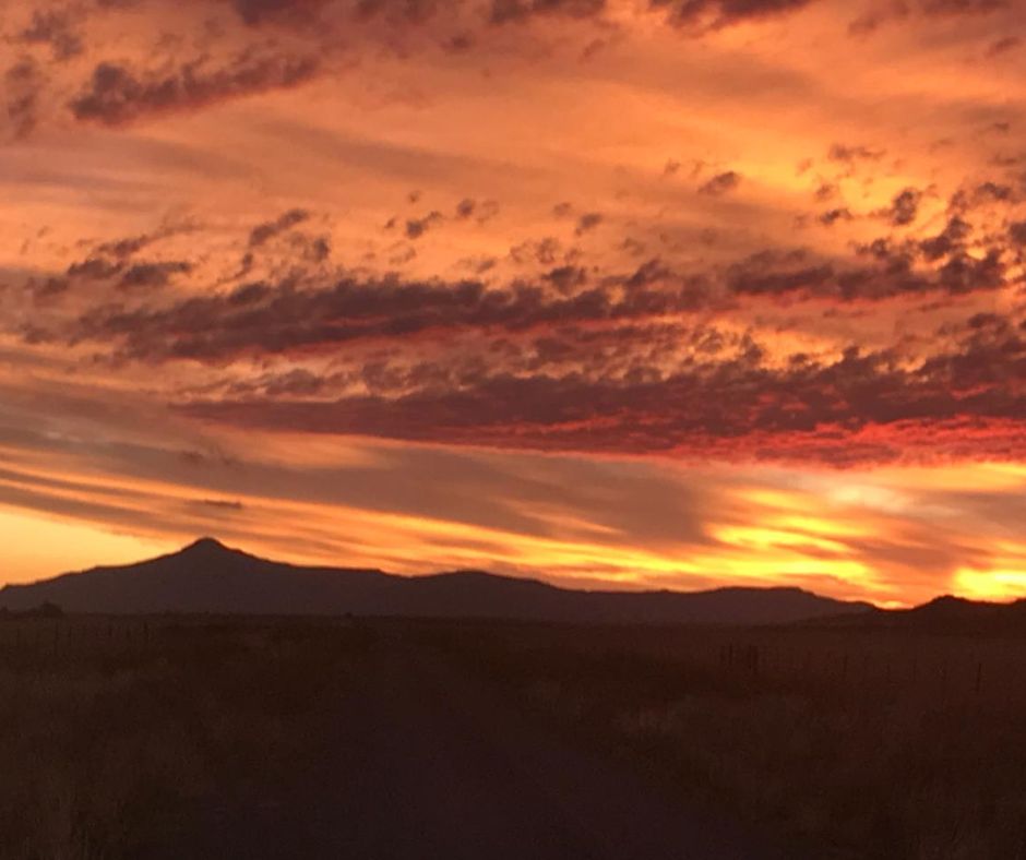 Stormcrete PRO-FEED logo