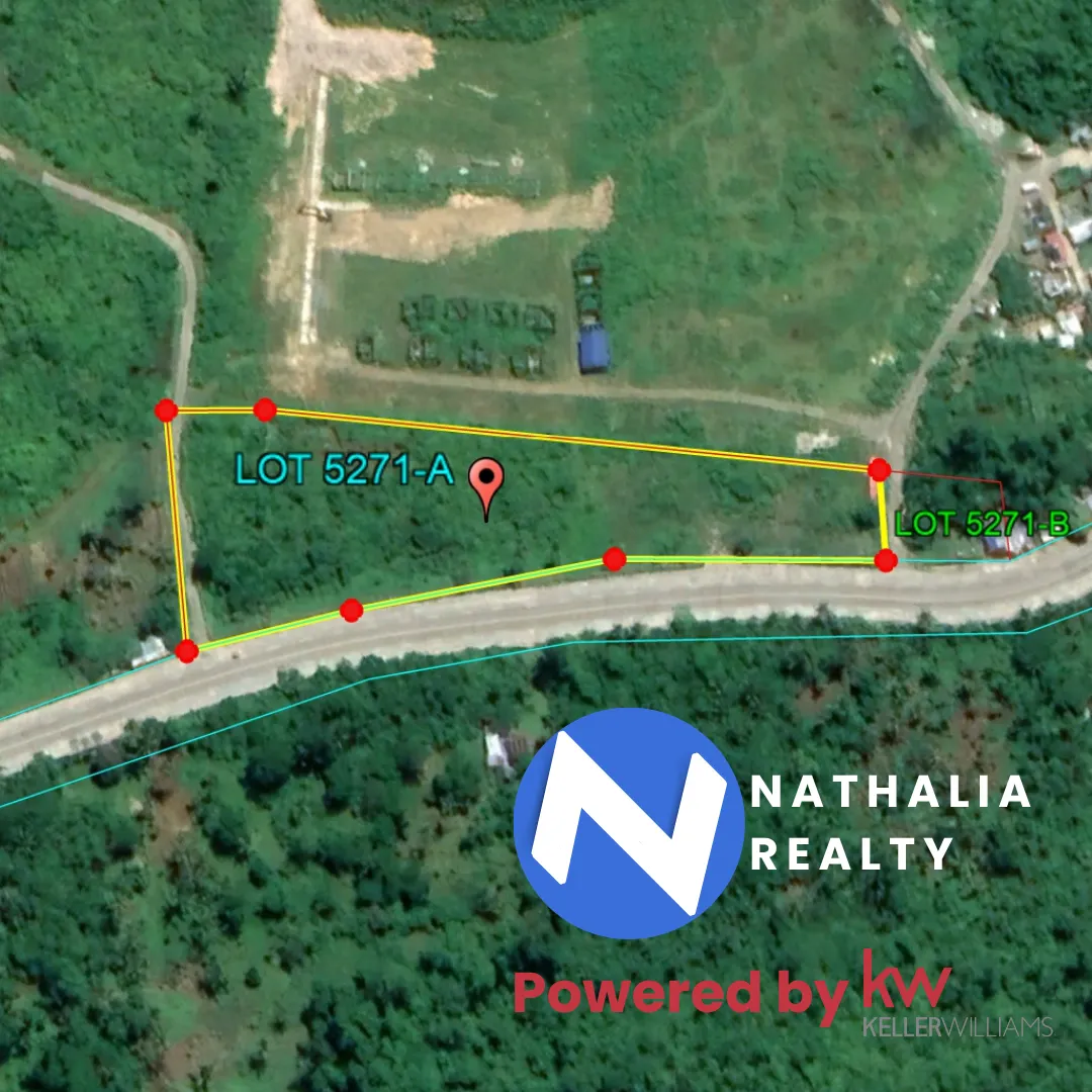 Raw Land for Sale Along Circumferential Road, Virac