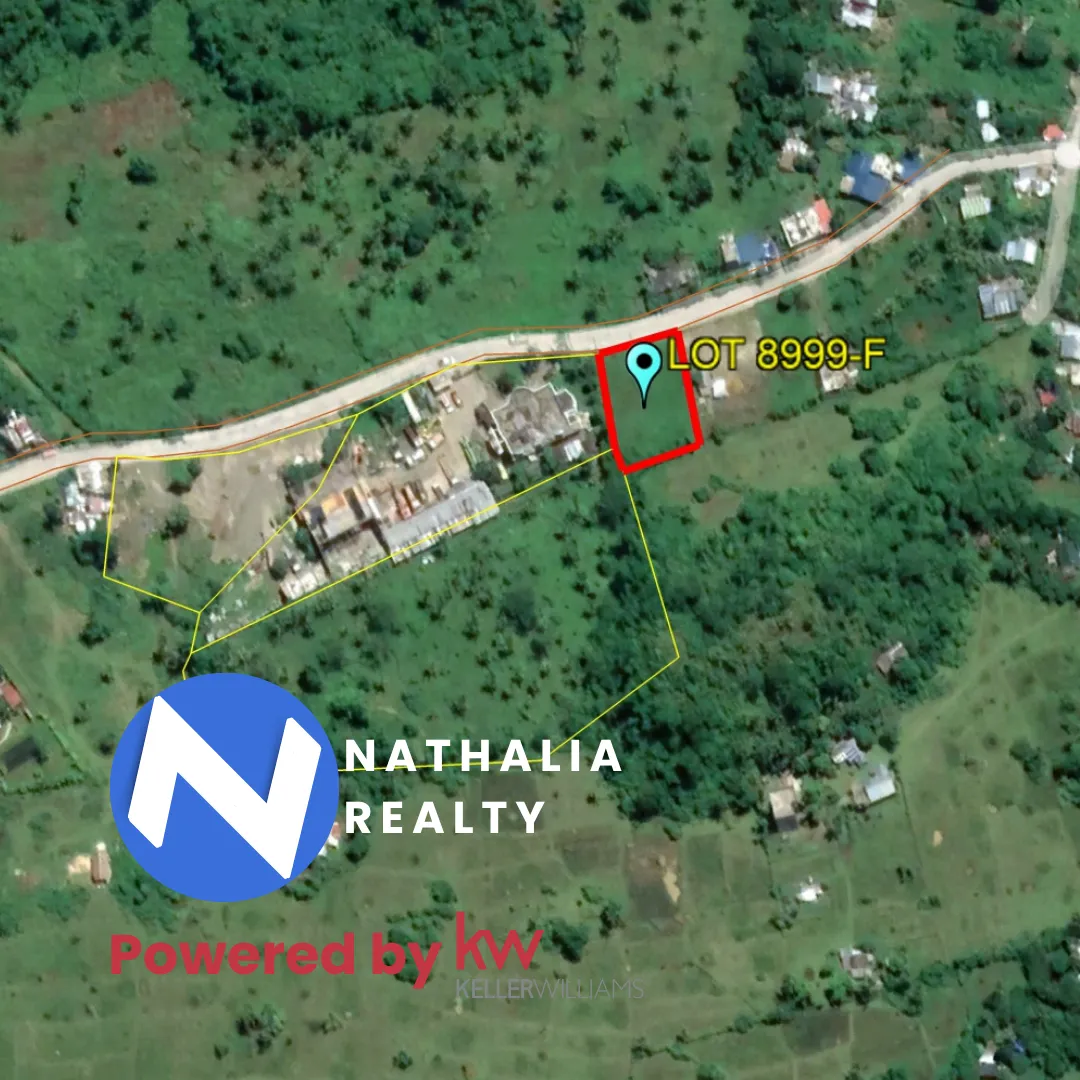 345 sqm Lot for Sale in Gogon, Virac Near Town and Airport