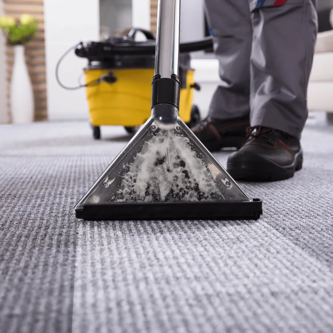 carpet cleaning