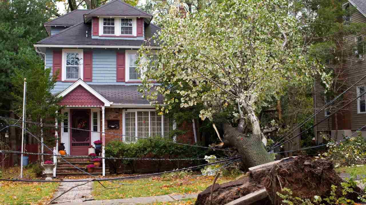 Property Damage Insurance Policies