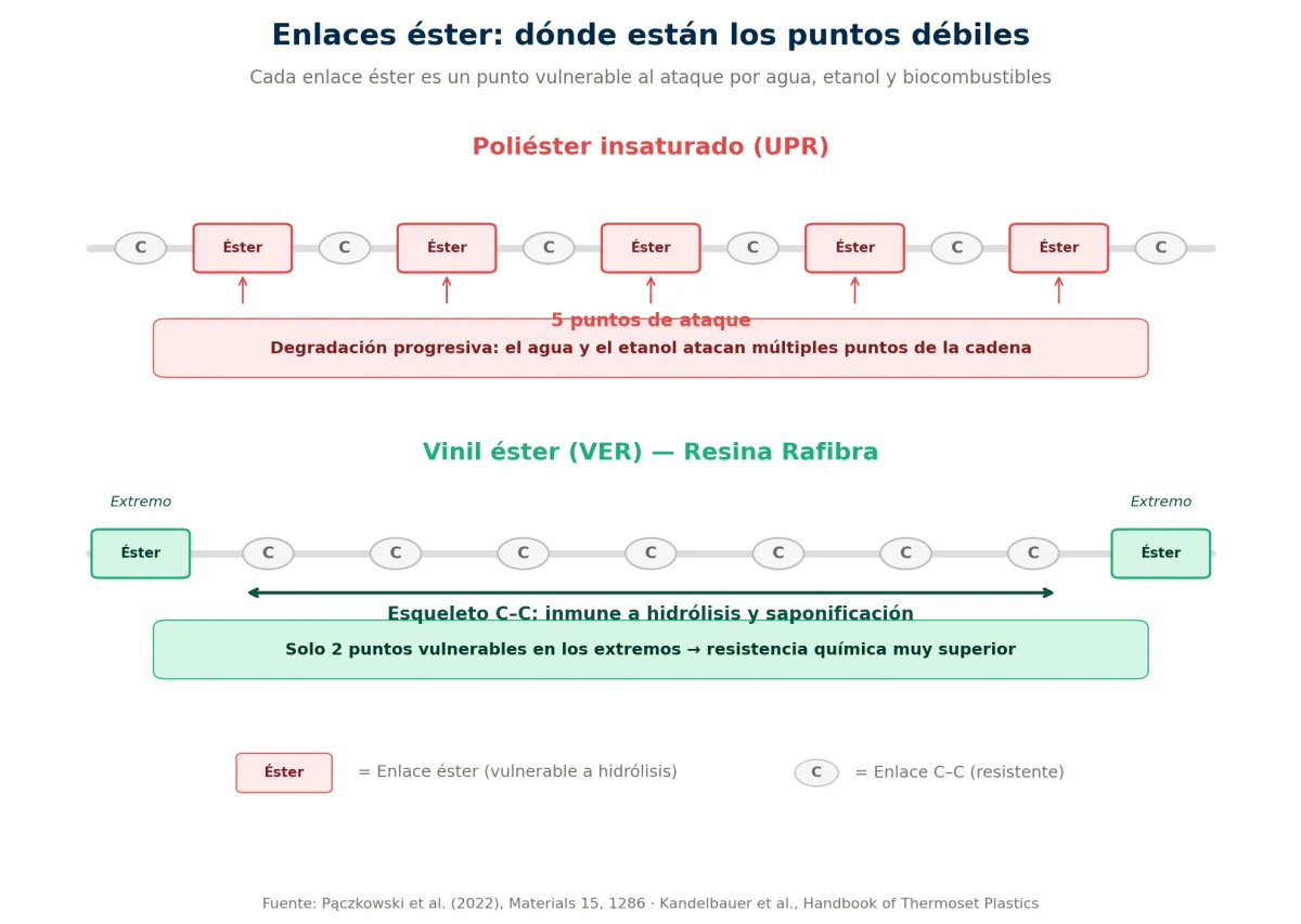 Esquema comparativo de la estructura molecular de resina de poliéster versus vinil éster: la resina de poliéster tiene enlaces éster vulnerables distribuidos a lo largo de toda la cadena molecular con múltiples puntos de ataque químico, mientras la resina vinil éster tiene enlaces éster solo en los extremos con un esqueleto carbono-carbono resistente a hidrólisis en el centro