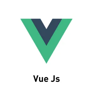 Vue js