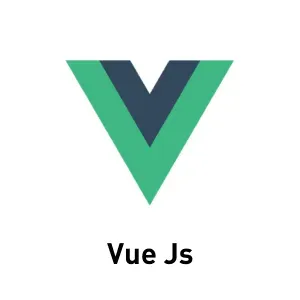 Vue js