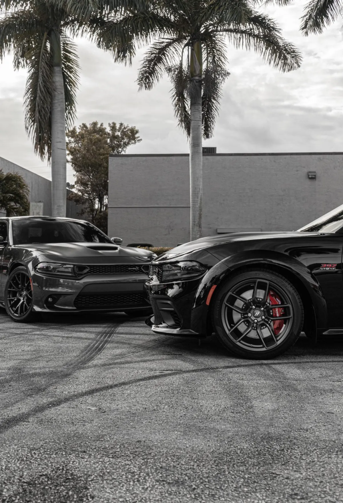 Window Tint at Miami, Florida