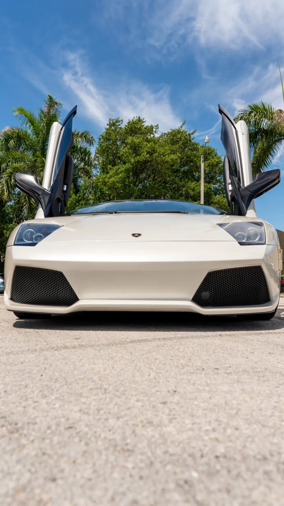 Ceramic Coating in Miami, Florida