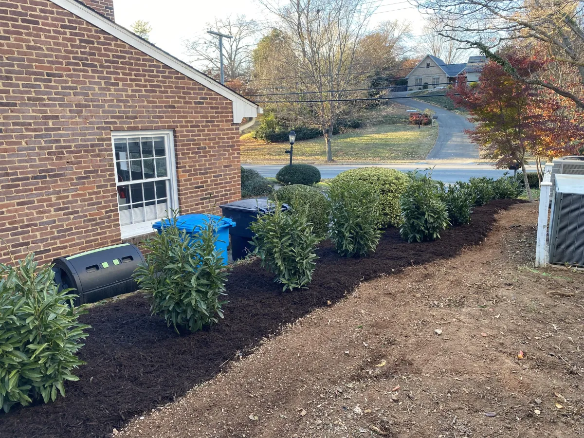 LANDSCAPE DESIGN 