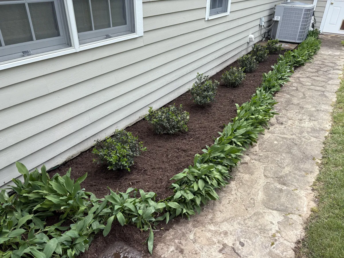 PLANT INSTALLATION ROANOKE
